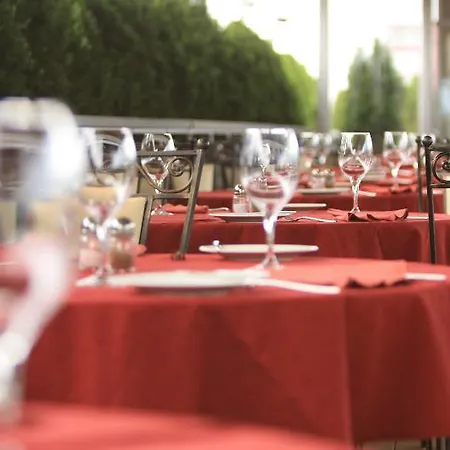 Anel Otel